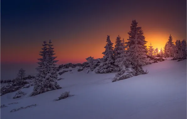 Wallpaper Winter, The Sky, Snow, Trees, Sunset, Nature, Austria 