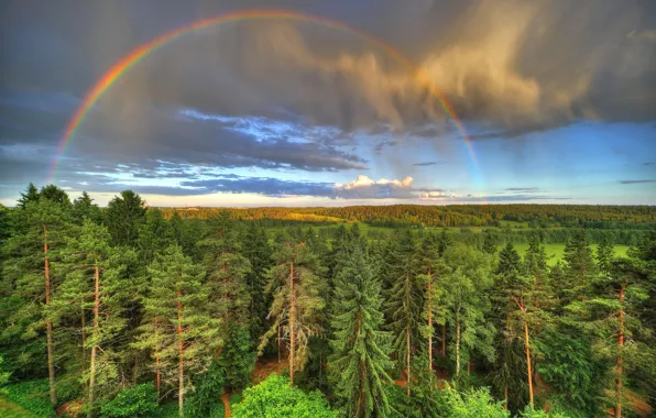 Picture forest, the sky, clouds, trees, clouds, rainbow