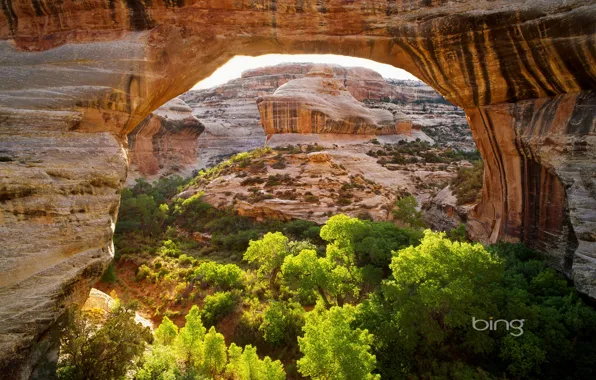 Trees, mountains, bridge, rocks, arch, Utah, USA, Natural Bridges National Monument