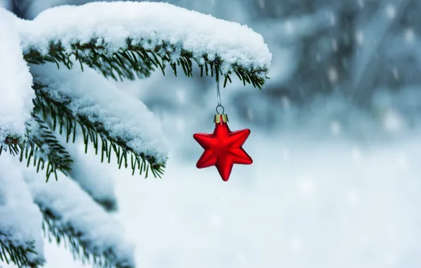 Winter, snow, star, tree, branch, New Year, Christmas, christmas