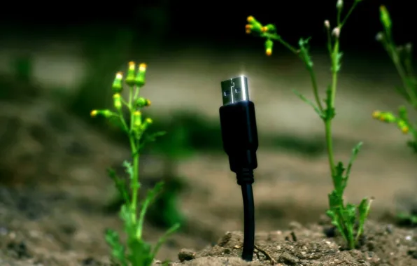 Plants, USB, cable
