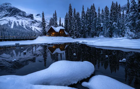 Winter, forest, snow, mountains, night, bridge, lights, lake