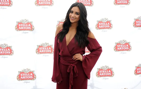 Picture girl, brunette, Shay Mitchell