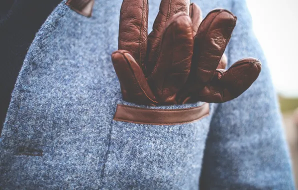 Clothing, gloves, brown, coat