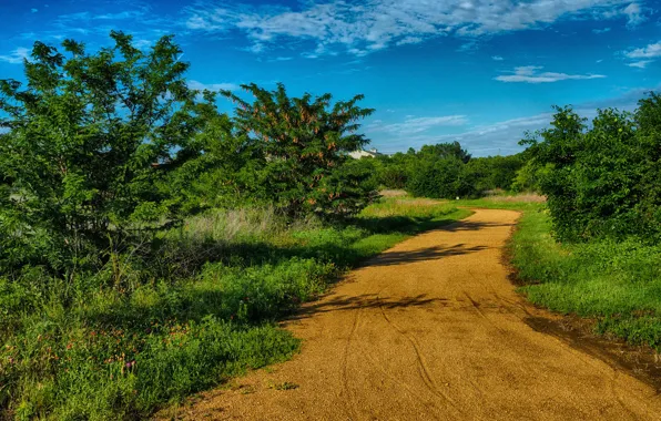 Road, the sun, trees, shadow, USA, sky, roads, Texas