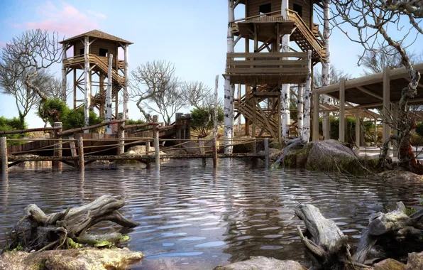 Pond, driftwood, the tower, BRIDGES & PONDS, VIEWING DECKS