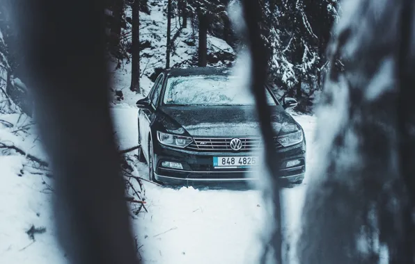 Volkswagen, Car, Wood, Winter, Snow, Sedan, Trees, Passat
