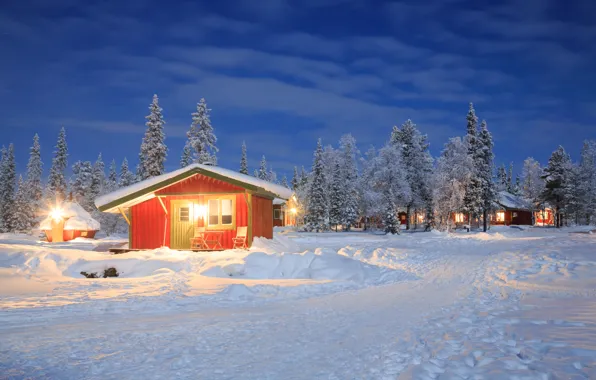 Winter, snow, trees, landscape, nature, winter, house, house