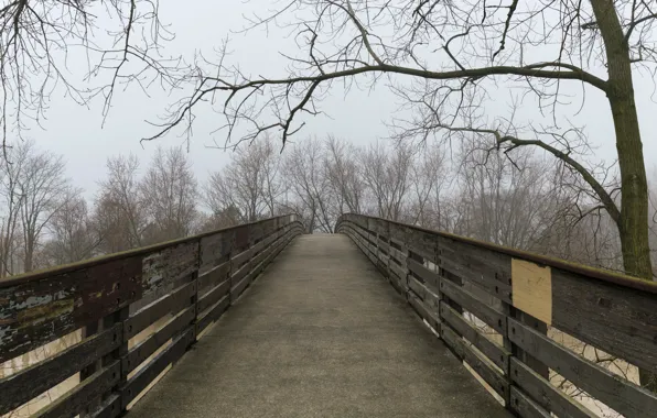 Picture autumn, fog, track, the bridge, bridge, Autumn, fog, path