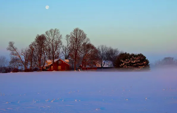 Winter, field, house