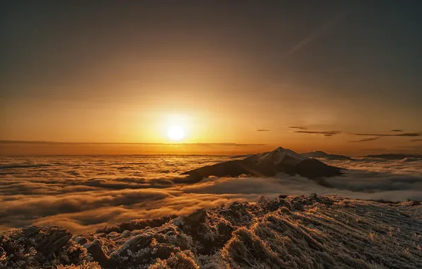 Mountains, dawn, morning, Poland, Bieszczady National Park