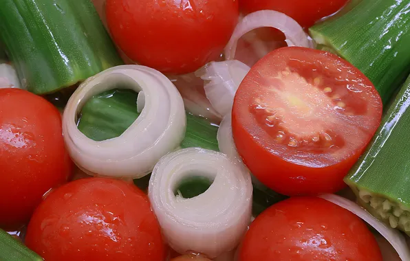 Macro, bow, vegetables, tomatoes, tomatoes, salad, AI art, neural network