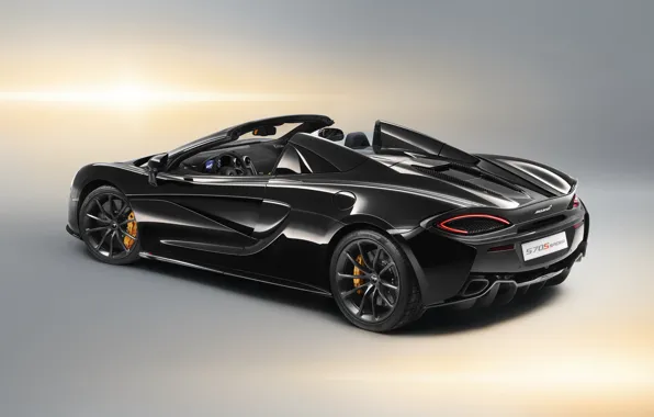 McLaren, rear view, 2018, Spider, Design Edition, 570S