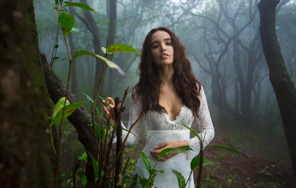 Picture forest, leaves, girl, trees, branches, nature, fog, dress