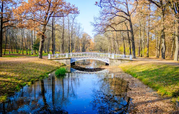 Autumn, leaves, trees, bridge, Park, river, colorful, river