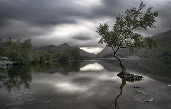The sky, mountains, clouds, reflection, tree, overcast, shore, pond
