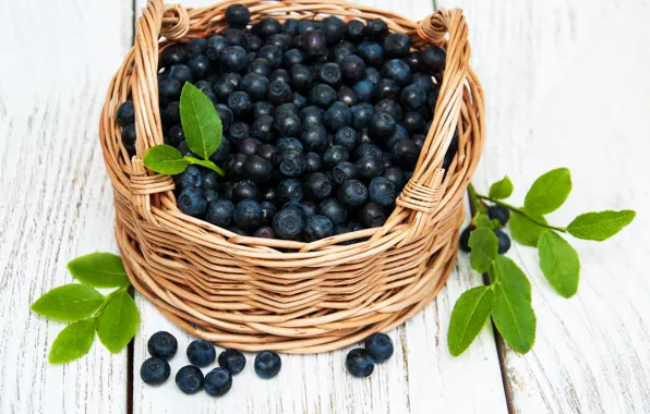 White, table, background, blueberries, basket, wood, Olena Rudo