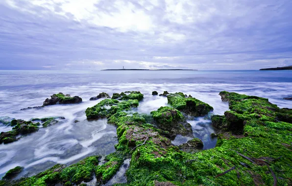 Sea, the sky, algae, stones