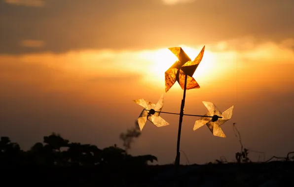 The sky, light, sunset