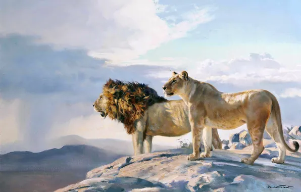 Picture, Two, Lions, Donald Grant, Predators, British animal artist, Big Cats, Donald Grant
