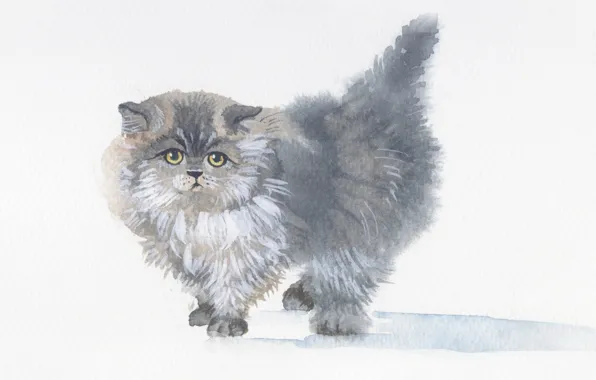 Kitty, grey, picture, fluffy, art, watercolor, painting