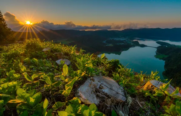 The sky, grass, leaves, the sun, clouds, rays, sunset, mountains
