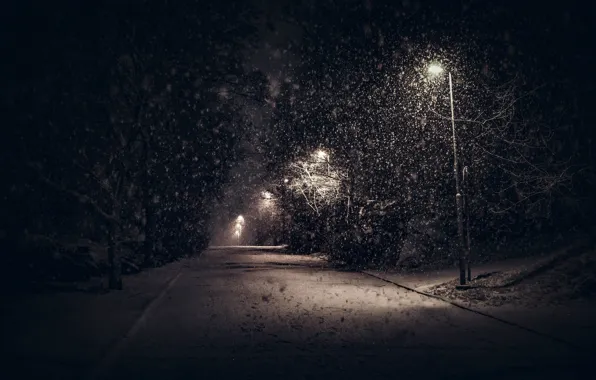 Winter, Night, Trees, Snow, Branches, Light, Lights, The sidewalk