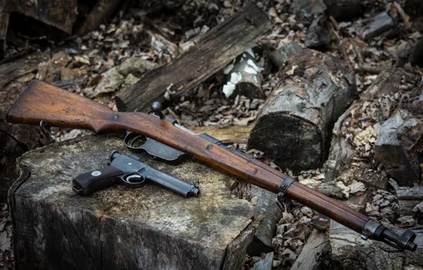 Picture gun, weapons, rifle