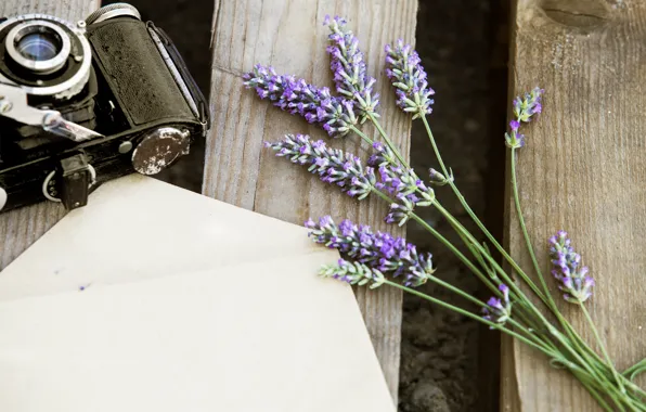 Picture flowers, the camera, lavender, the envelope