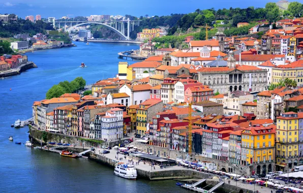 Trees, bridge, river, home, Portugal, the view from the top, Port