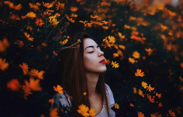 Girl, flowers, Ronny Garcia, Among Daisies