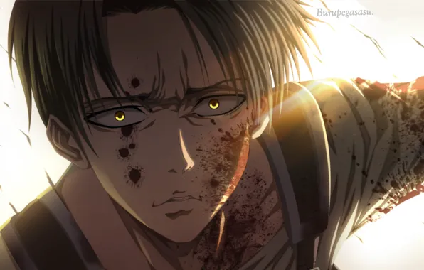 Attack Of The Titans, Shingeki No Kyojin, corporal Levi