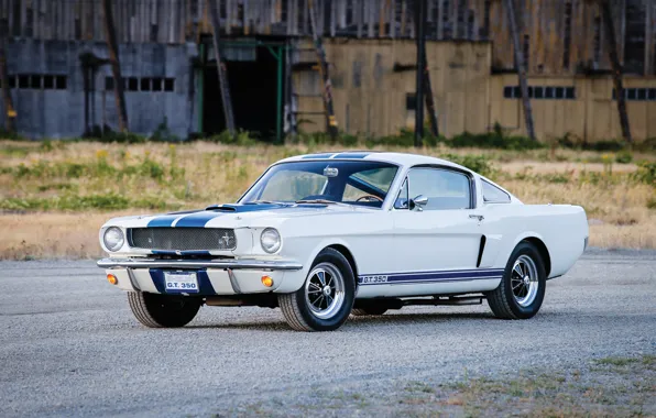 Mustang, Ford, Shelby, Prototype, Mustang, Ford, Shelby, 1965