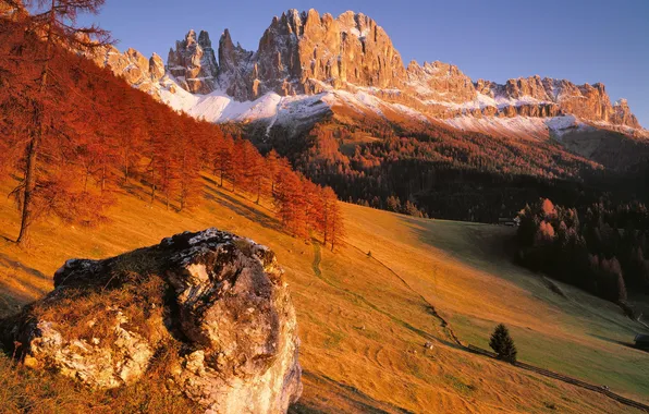 Autumn, forest, sunset, mountains, nature