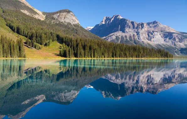 Picture forest, mountains, nature, lake, river