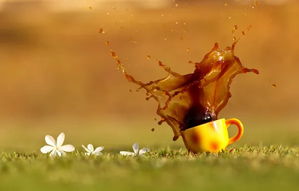 Picture grass, drops, flowers, squirt, tea, coffee, orange, Cup