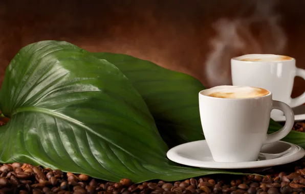 Leaves, coffee beans, flavored coffee