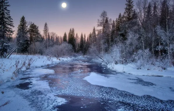 Ice, winter, forest, the sky, snow, trees, landscape, sunset
