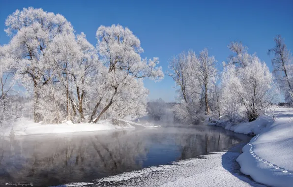 Picture winter, frost, the sun, snow, trees, river, frost