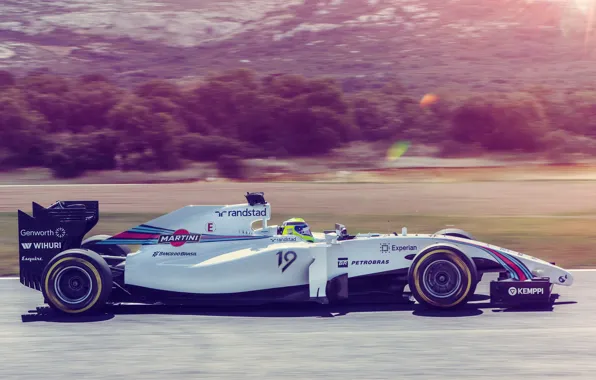 Picture race, sport, formula 1, the car, formula 1, Williams, Felipe Massa, FW36