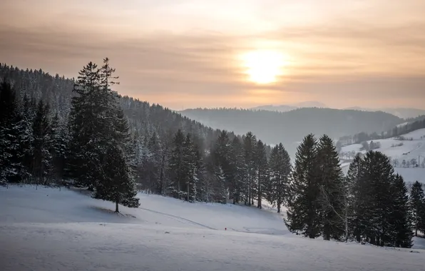 Picture winter, sunset, nature