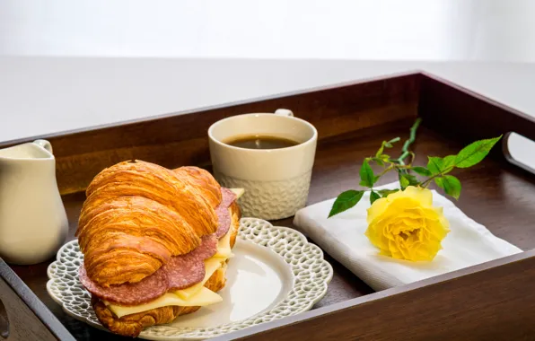 Flower, yellow, rose, coffee, Breakfast, cheese, plate, Cup