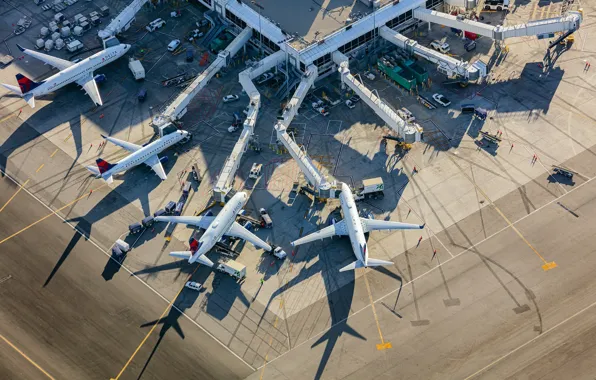 Los Angeles, International Airport, Delta Terminal