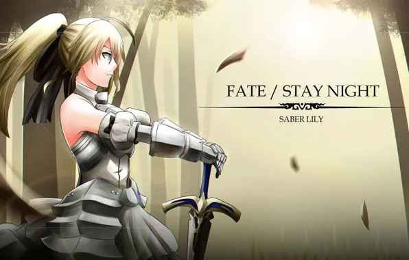 Girl, sword, the saber, Fate stay night, Fate / Stay Night