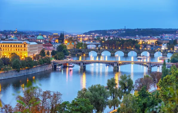 Trees, night, bridge, the city, lights, river, blue, shore