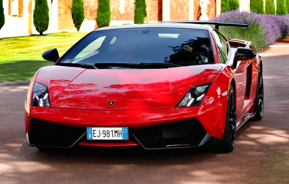 Red, tuning, supercar, spoiler, front view, Lamborghini, Gallardo, lamborghini gallardo lp570-4 super trofeo stradale
