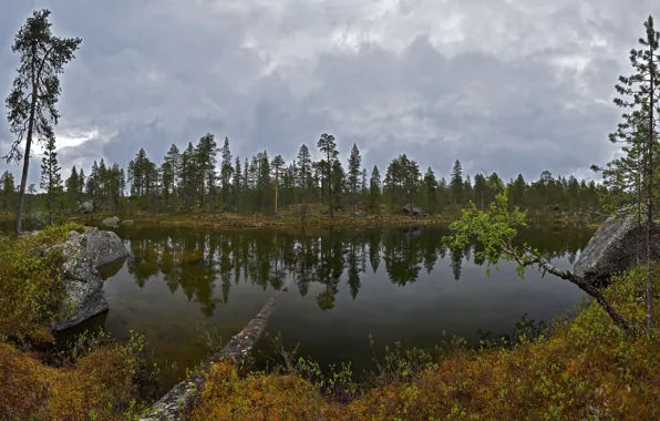 Picture forest, clouds, trees, clouds, lake, stones, the bushes