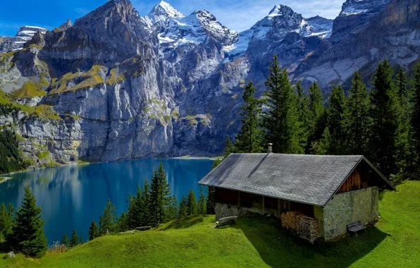 Forest, trees, mountains, lake, rocks, Switzerland, wood, house