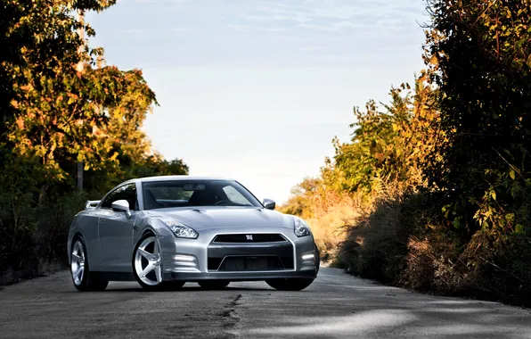 Picture road, trees, GTR, Nissan
