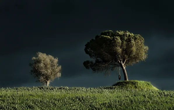 Picture tires, swing, clouds, gloomy sky, light, wheel, trees, storm